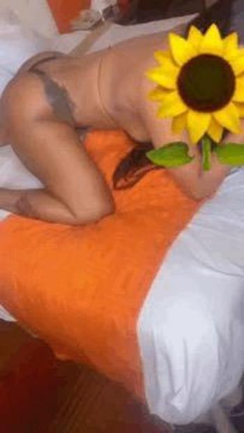 2408541870, female escort, Washington DC