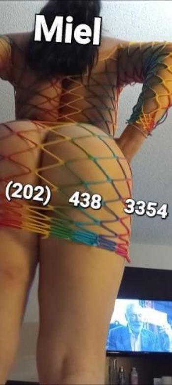 2024383354, female escort, Washington DC